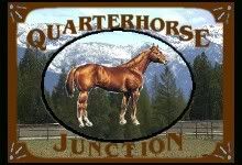 QuarterhorseJunctionFlag.jpg