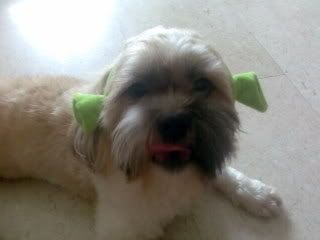 Photo Sharing and Video Hosting at Photobucket