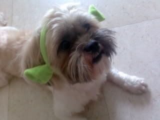 Photo Sharing and Video Hosting at Photobucket