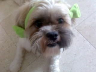 Photo Sharing and Video Hosting at Photobucket