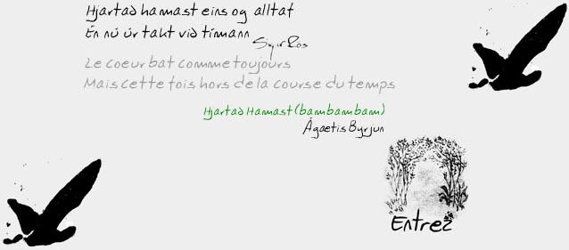 ENTREZ DANS LE SITE