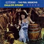 The Peel Session - Breed 1991