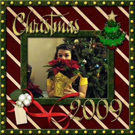 http://dranet.blogspot.com/2009/12/christmas-2009-template.html
