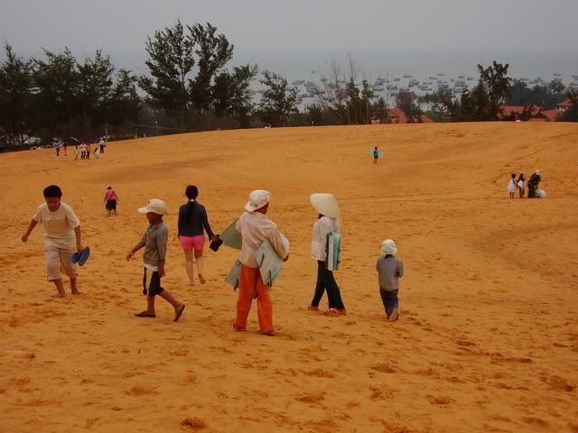 P7220120.jpg picture by vitcon_13