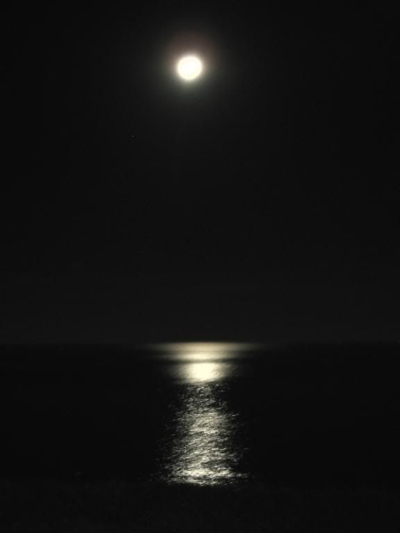 Moon over the Sea Pictures, Images and Photos