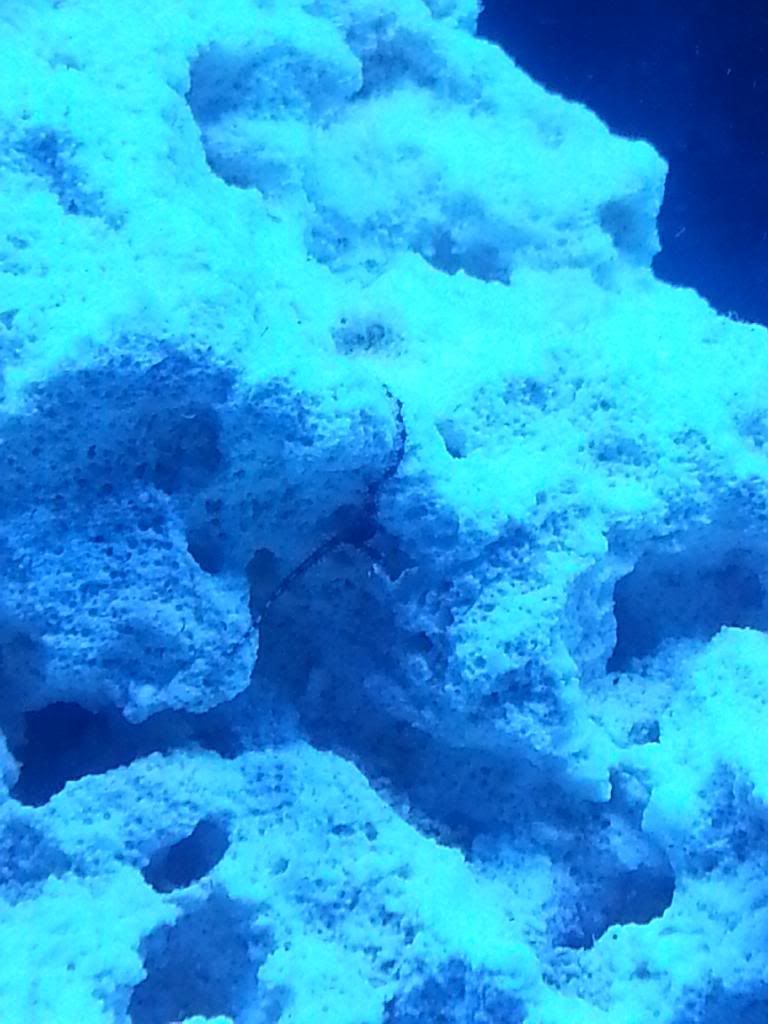 20140329_142821_zpsm3boguqc.jpg