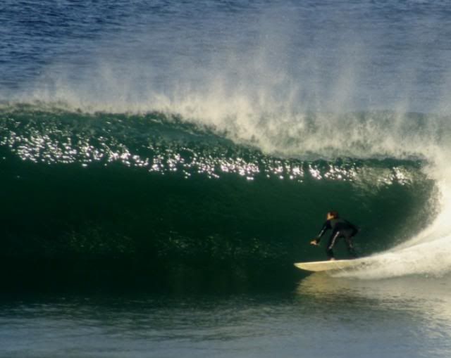 photo 1_zps6b540eae.jpg