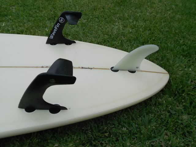 resizedwavefinapril201288.jpg