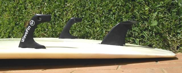 winglessfinres4.jpg