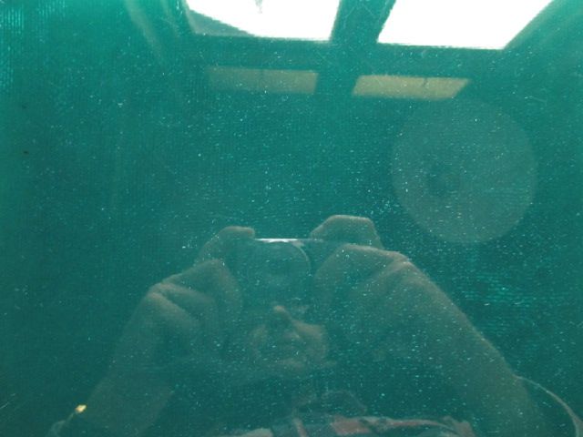 photo IMG_0003_zps9b1dbad1.jpg