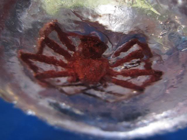 photo IMG_5291_zpsc9337d91.jpg