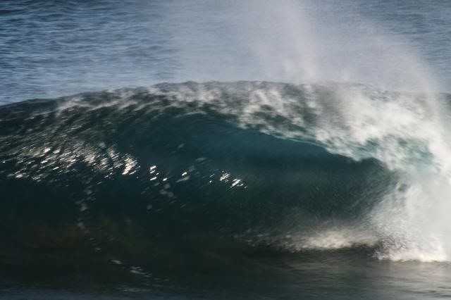 photo S0601278_zpsb890425a.jpg