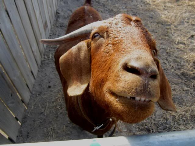 photo Z_zps1be694d8.jpg