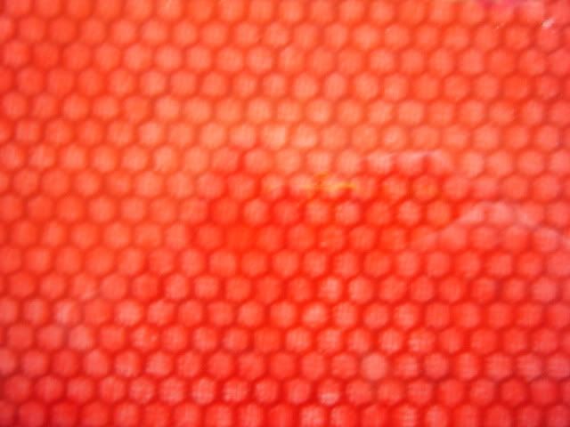 DSCF8439.jpg