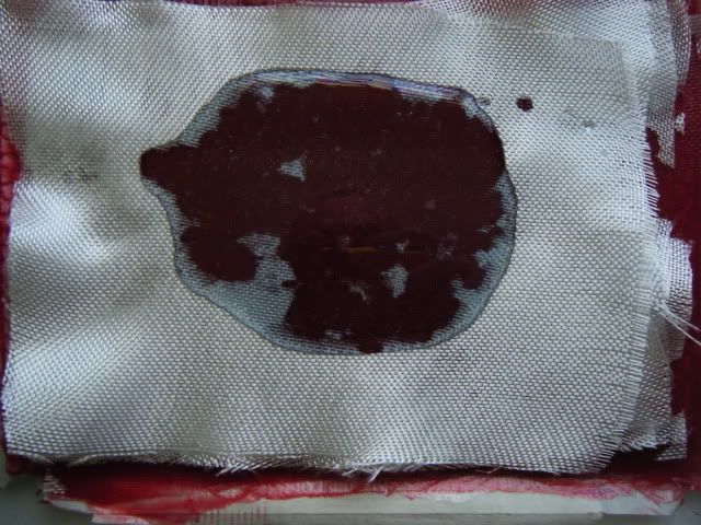 DSCF8440.jpg