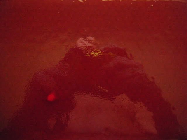 DSCF8455.jpg