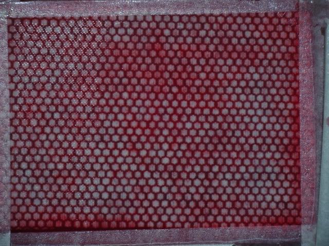 DSCF8479.jpg