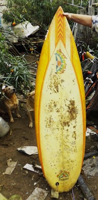 photo wildy board ... Rods 16_zpsaubcrpsy.jpg