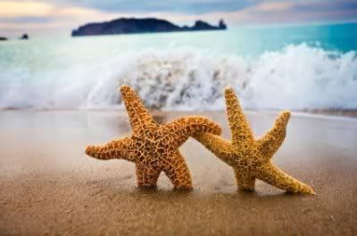 starfish (: Pictures, Images and Photos
