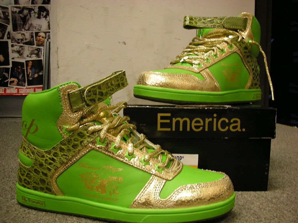 Emerica _shoes