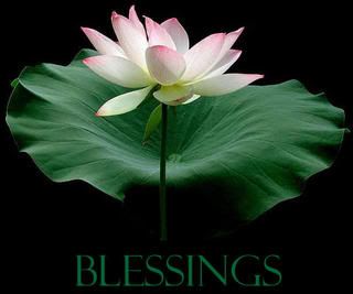 blessings.jpg image by dragonflygris_2007