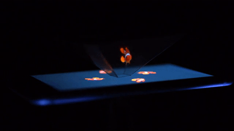 Holoquarium_ Zoo Frankfurt+_gif