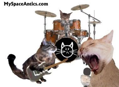 cat-band.jpg