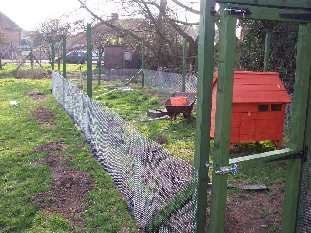 chickencoup001.jpg