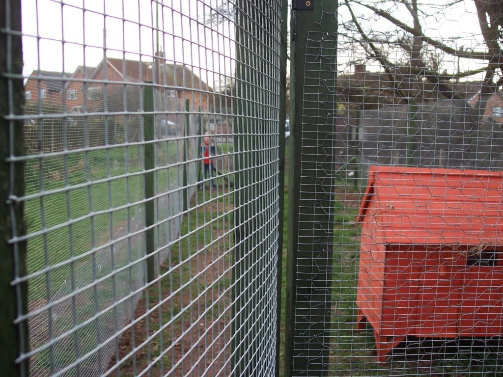 chickencoup006.jpg