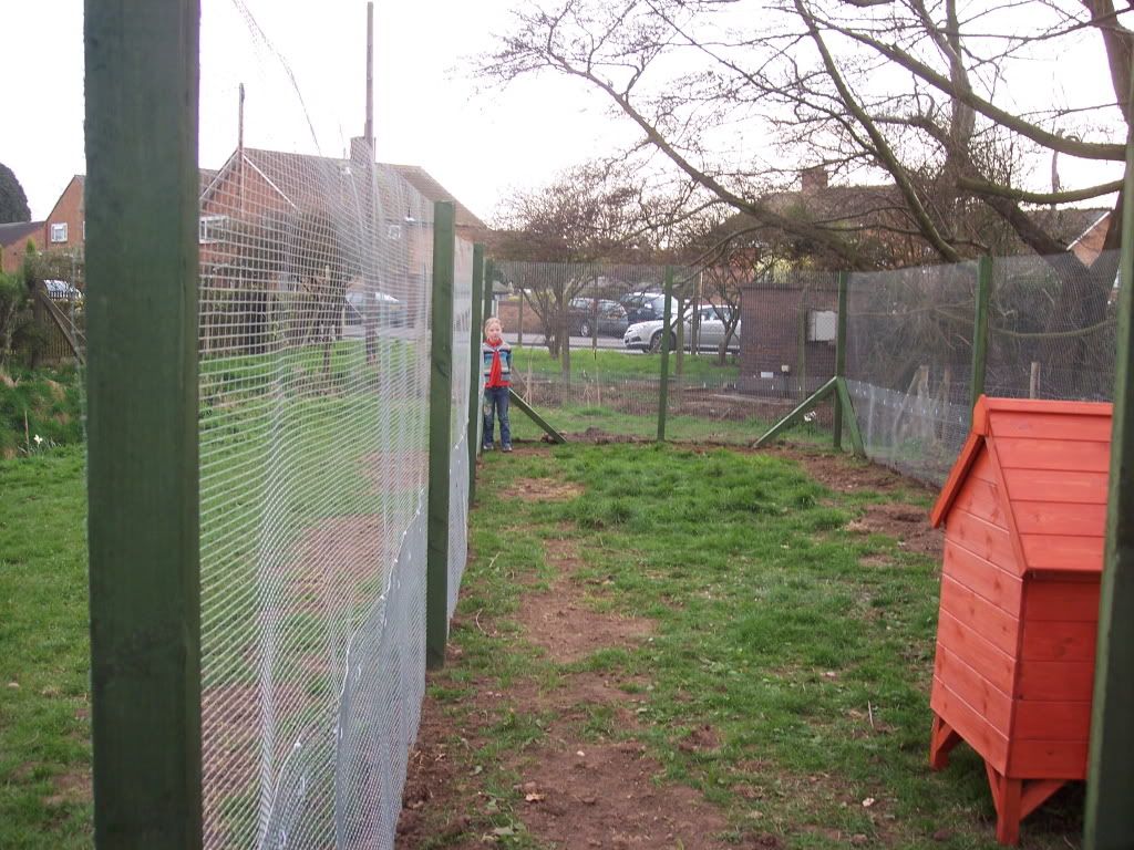 chickencoup007.jpg