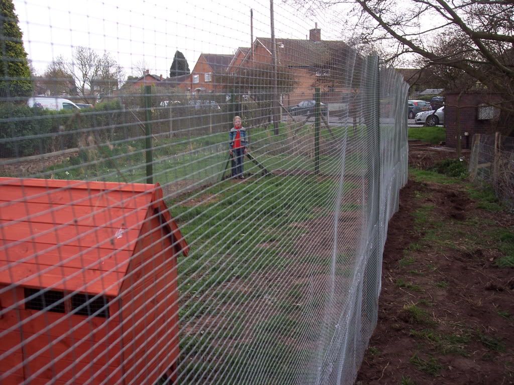 chickencoup008.jpg