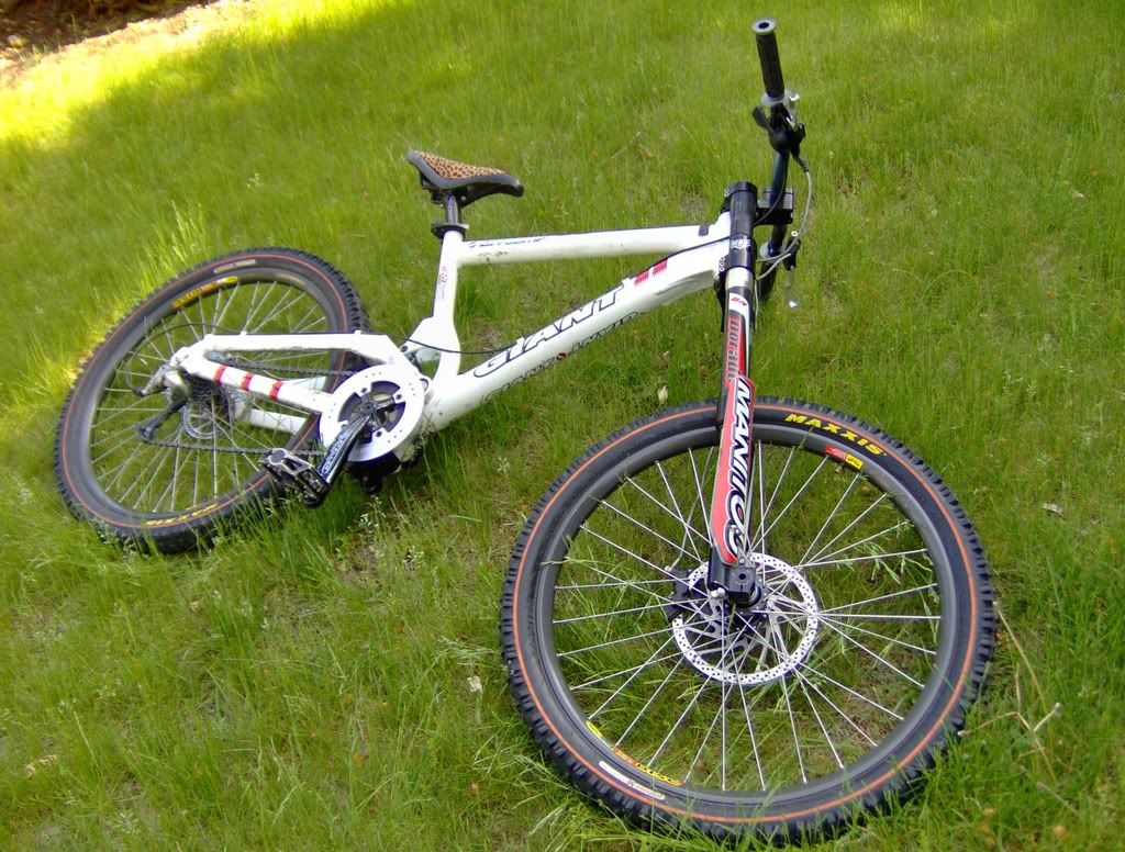 giant dh comp