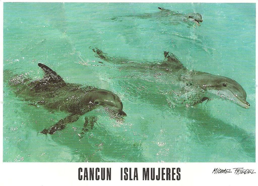 Isla Mujeres - Cancun