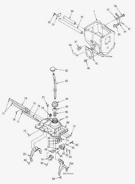 t19p2_larget19.jpg