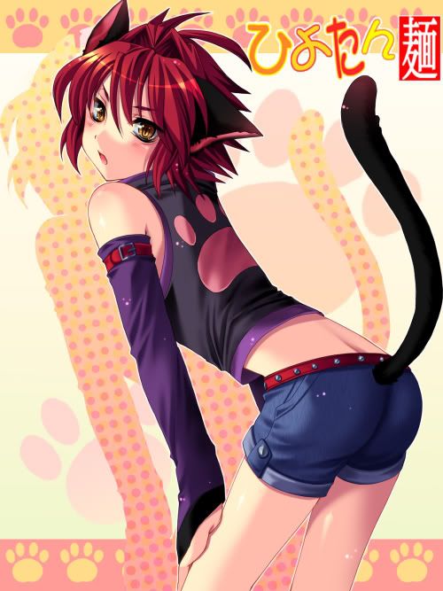 neko_5499631.jpg~original