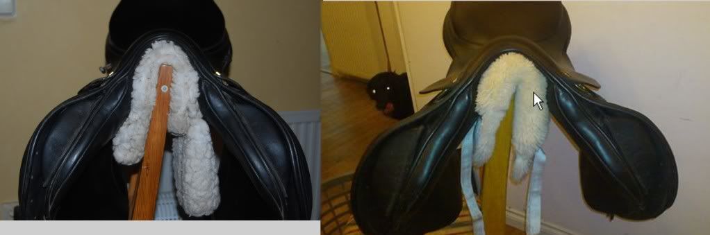 albij.jpg