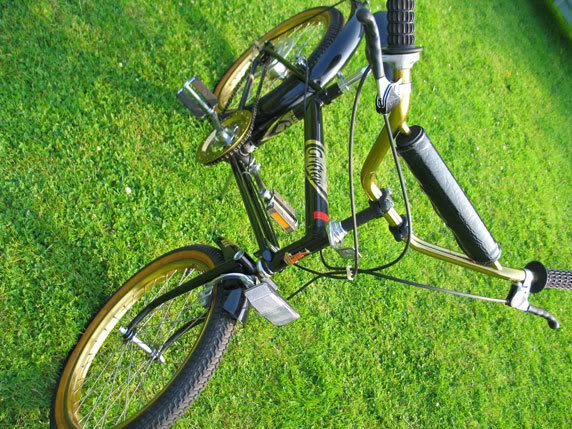 Raleigh Super Grifter Mint Condition Retro Rides