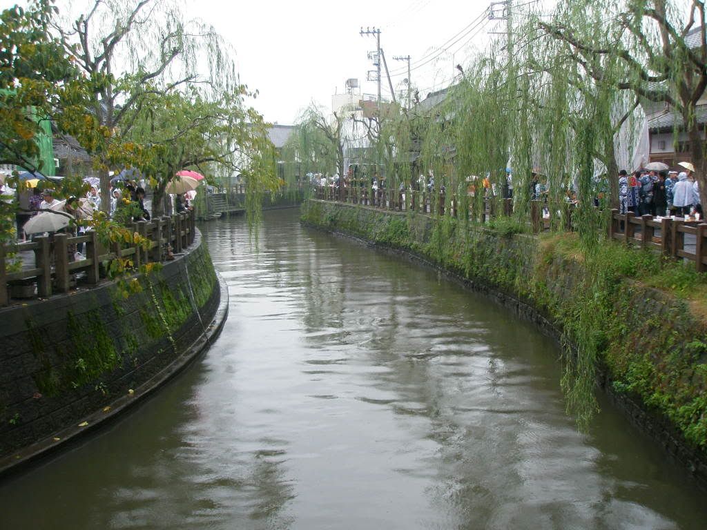 http://i161.photobucket.com/albums/t216/hmccaw/Sawara/PA110002.jpg
