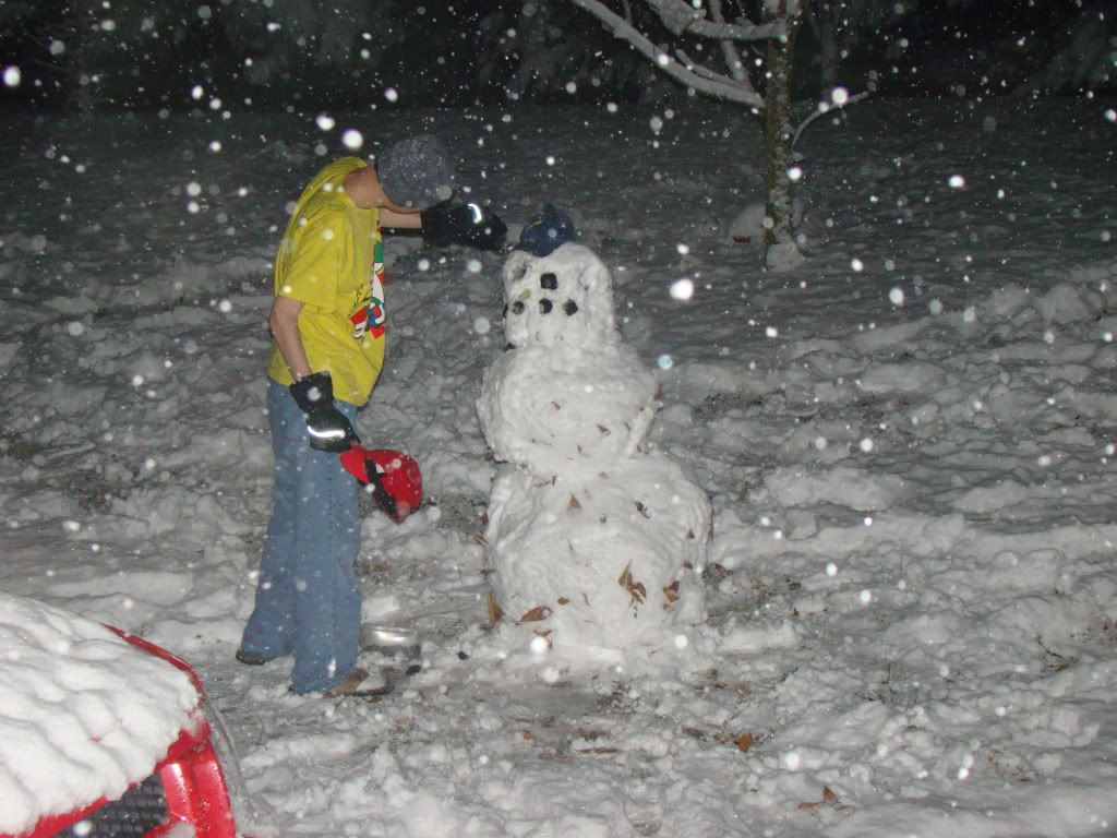 Snow-2010020.jpg