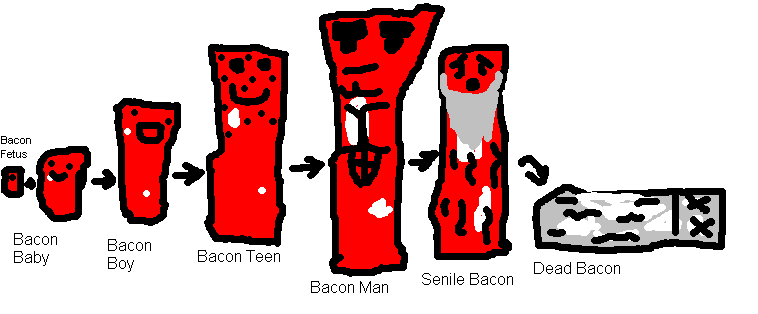 baconlol.png