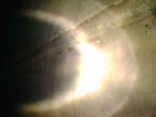 (求助)gmax上魚眼.但是燈殼把燈折射開....6695