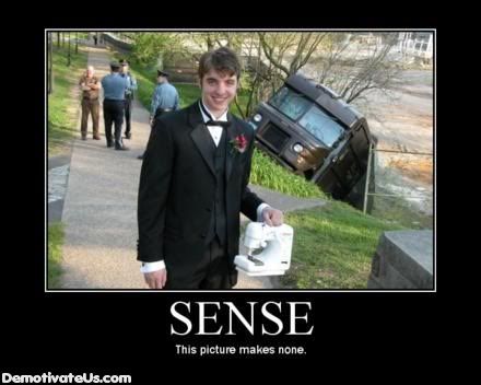 no-sense-demotivational-poster.jpg