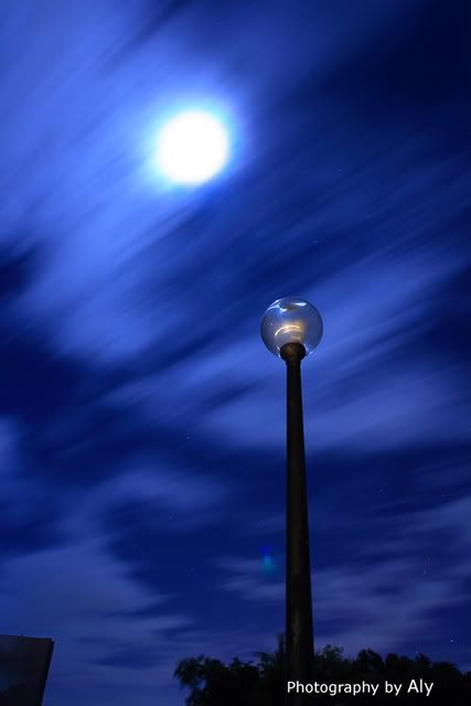 IMAGE: http://i161.photobucket.com/albums/t219/virtualaly/Manila%20Memorial%20Park/w-lamp-post.jpg