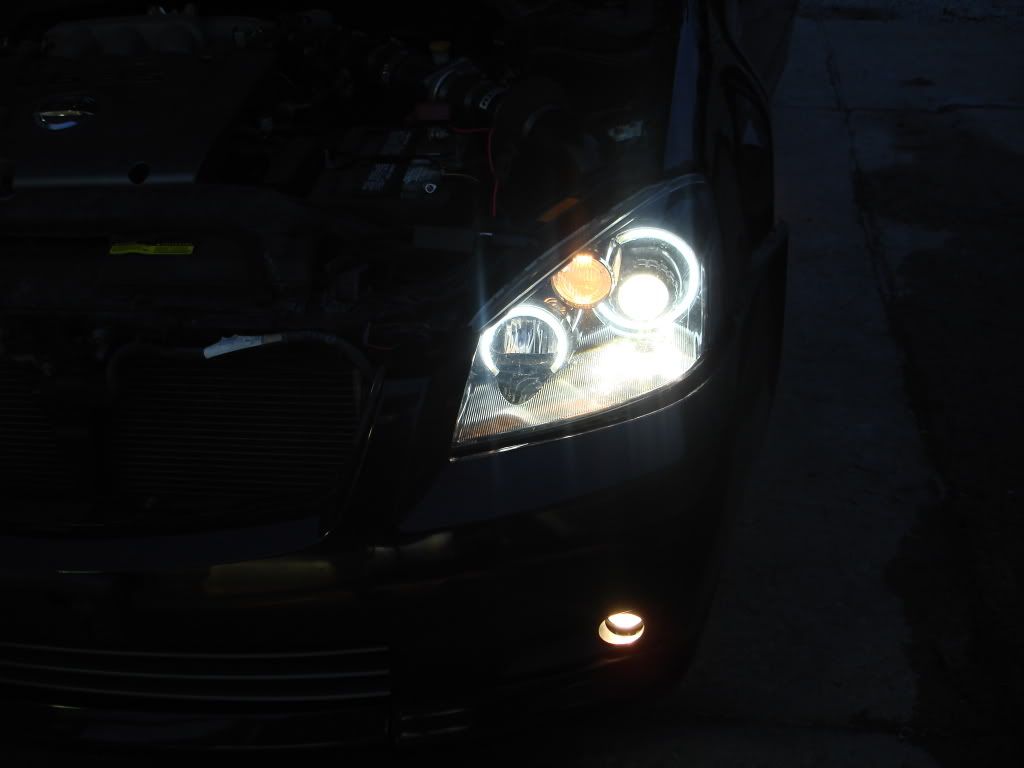 HID Headlight Projection The Nissan Club