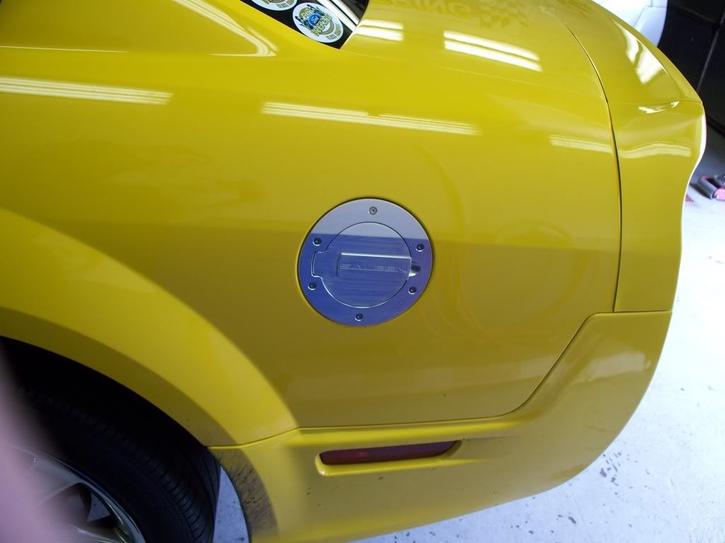 Saleen Brushed Aluminum Fuel Doors!!!