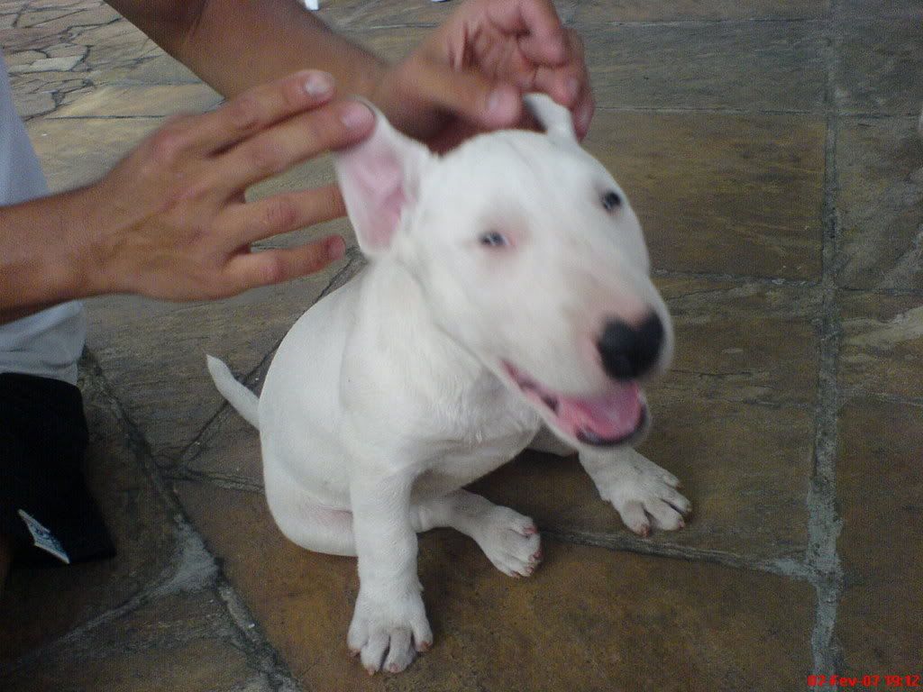 Imagem