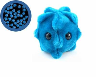 bacteria cold flu Lucu dan Kreatif, Boneka yang Terinspirasi dari Model Bakteri, Virus dan Mikroba