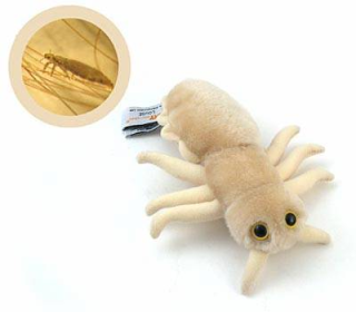 bacteria headlice head louse Lucu dan Kreatif, Boneka yang Terinspirasi dari Model Bakteri, Virus dan Mikroba