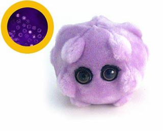 bacteria kissingdisease infectious  Lucu dan Kreatif, Boneka yang Terinspirasi dari Model Bakteri, Virus dan Mikroba