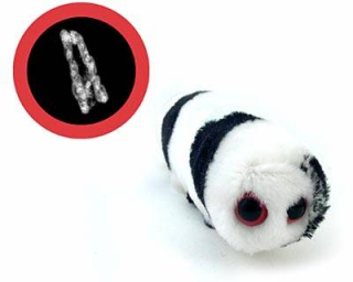 bacteria madcow rabies Lucu dan Kreatif, Boneka yang Terinspirasi dari Model Bakteri, Virus dan Mikroba